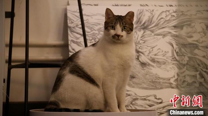 ���޶���̽�� ����� ��