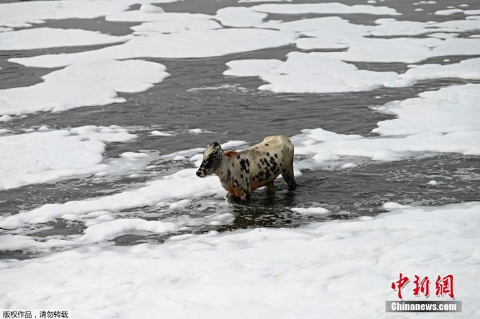 ���������һҳ