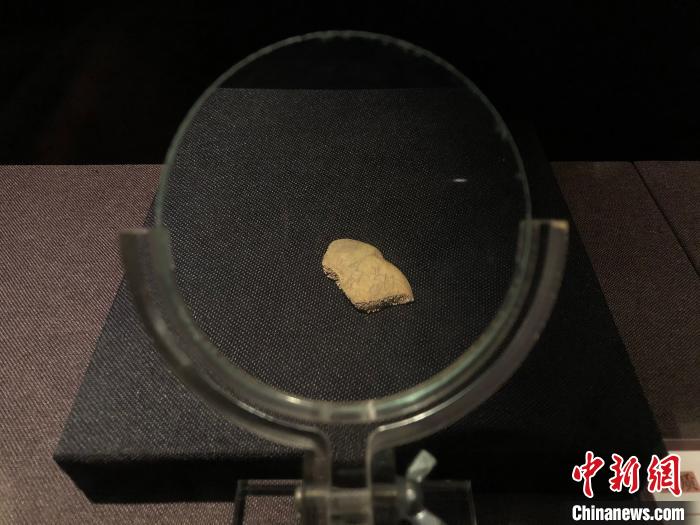 ͼΪ�̴��׹�����չ�ϵ�չƷ������� ��