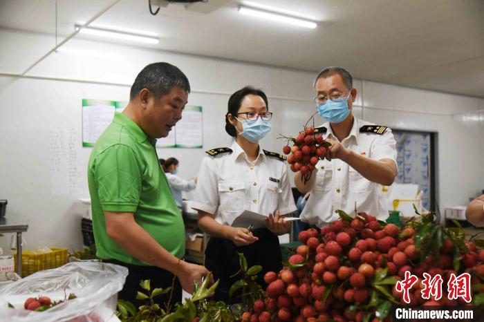 ���Ǻ��ع�Ա�Գ�����֦���м��ߡ����Һ��ع�ͼ