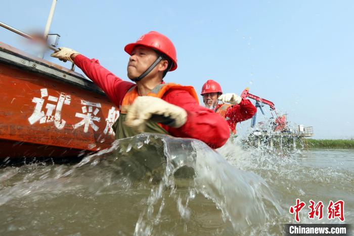 2020����������������˷��¹ڷ������顢�����ֺ���Ӱ�죬ȫ���Ը�����Դ�����Ȳ�����Ч�棬ԭ������ȡ�����ó�Ч��(����ͼ) ��ʯ���������﹩ͼ ��