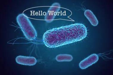 ��ѧ�ҽ���Hello World������ɼ�����ԣ����浽�󳦸˾���DNA�С�|�ı���ChemistryWorld