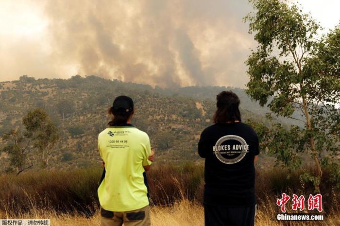 ���������һҳ