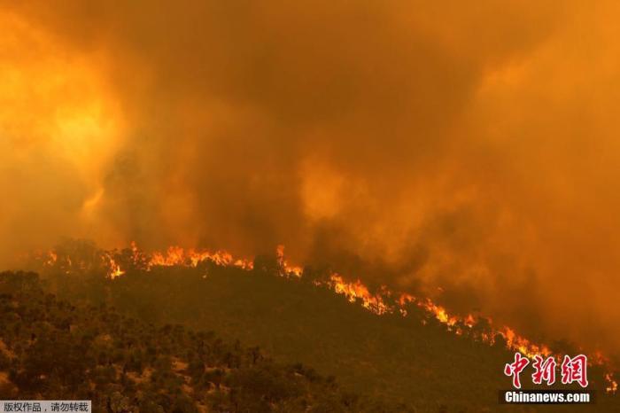 ���������һҳ