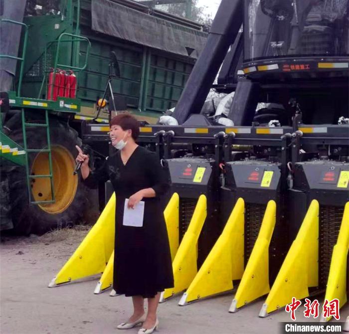 л���������޻�ʦ���ǽ��ڲ�ժע�����(����ͼ) �º� ��