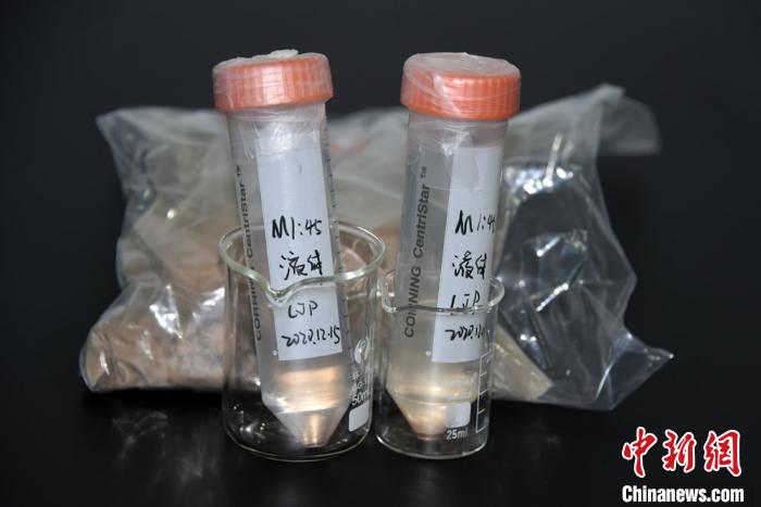 ���������һҳ