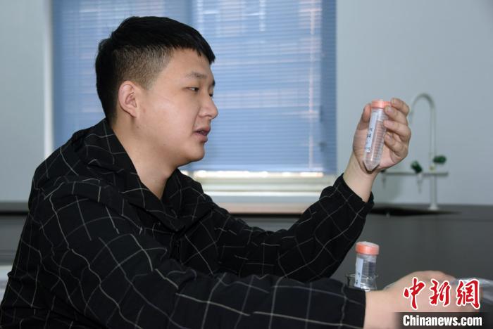 ���������һҳ