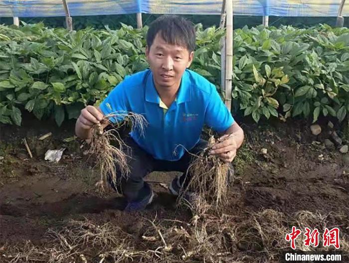 ��ũ����չʾ��׼����ֲ�µ��˲Ρ���ɽ��ί��������ͼ