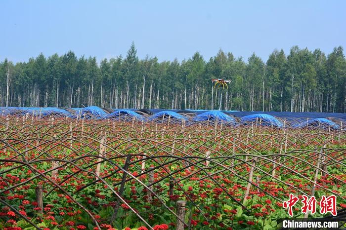 �����˲α�׼����ֲ���ء���ɽ��ί��������ͼ