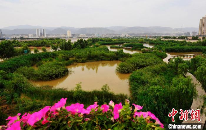 ͼΪ���ݻƺ�ʪ�ع�԰��ɫ��(����ͼ) ������ ��