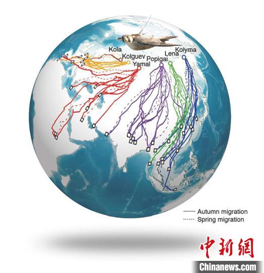 ���������һҳ