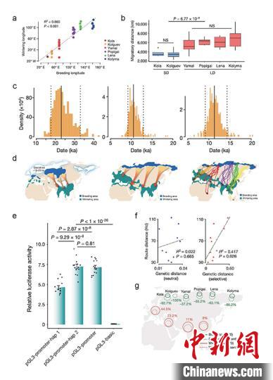 ���������һҳ