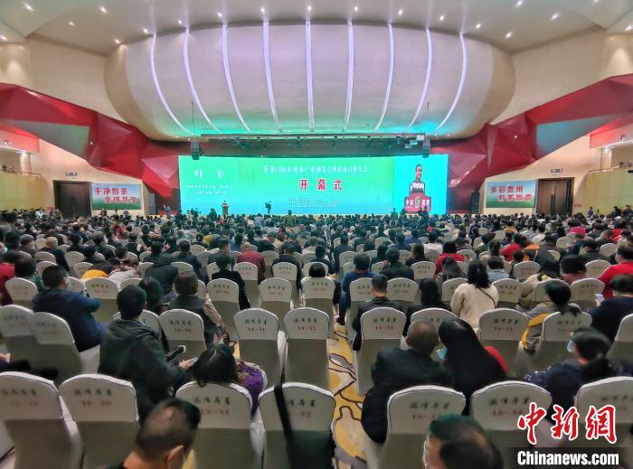 ͼΪ��13����ݲ販�ῪĻʽ�ֳ������ĺ��� ��