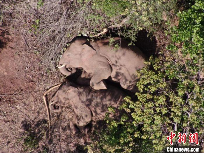 ͼΪ��⵽����Ⱥ��������ʡɭ�������ܶ��ṩ