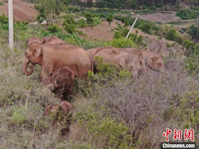 ͼΪ��⵽����Ⱥ��������ʡɭ�������ܶ��ṩ