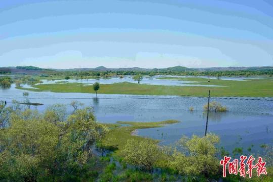 ���������һҳ