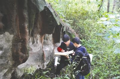 ���������һҳ