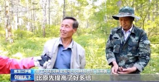 ���������һҳ