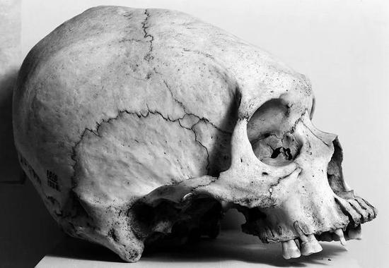 ����Χ�̶������εı���ͷ�ǣ�������Ŭ��ͼ��Vanuatu Republic������ͷ�Ǳ��ε�ϰ�ײ��������������� | Wikimedia Commons