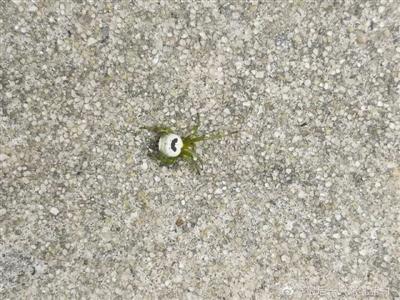 ���������һҳ