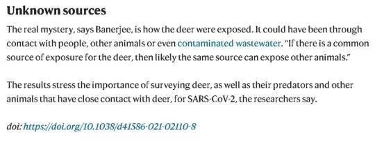 ���������һҳ