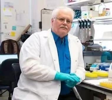 ���������һҳ