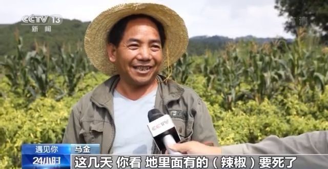 ���������һҳ