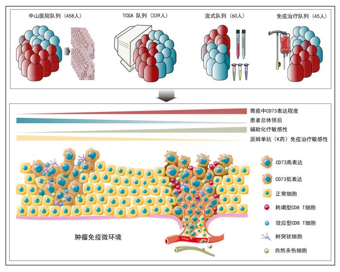 �й�ѧ����������θ���������ݵġ�צ����