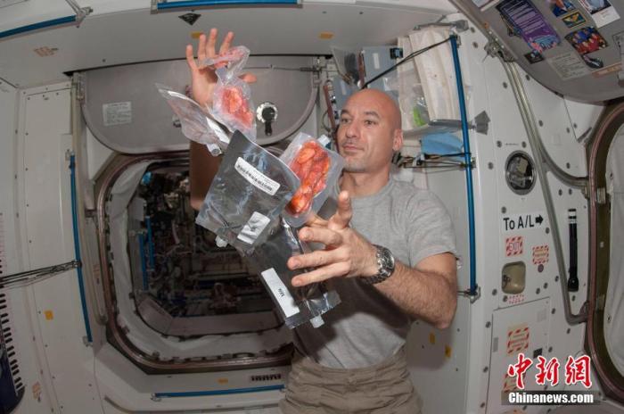 ���������һҳ