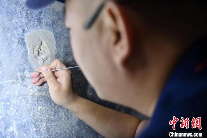 ���������һҳ