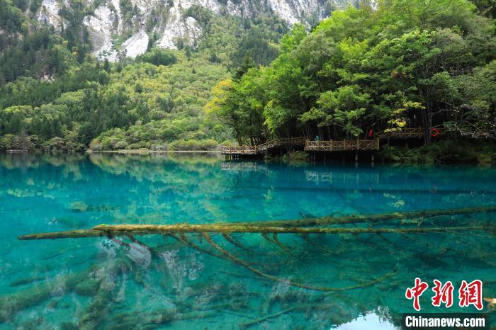 ��ͯ�����硱��կ������ױ�������������� ��