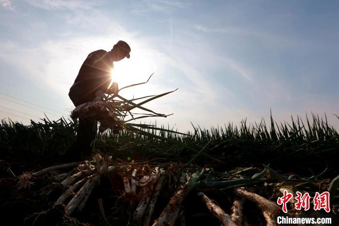 ��ũ�ڵ����մС������� ��