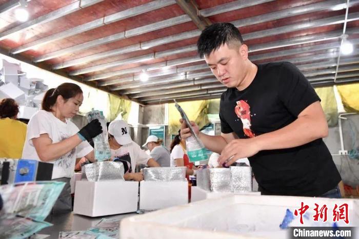 ���򽣴����ݣ�������ĺ���Ʒ��������ĺ������ܷ��� ��ͼ