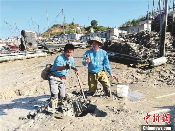 ���Ϻ����ӡ����иϺ�ֱ�������ܷ��� ��ͼ