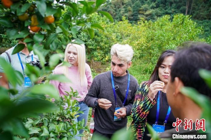 ͼΪ��������߽�ɰ���ٻ��ء����¹��ԡ���