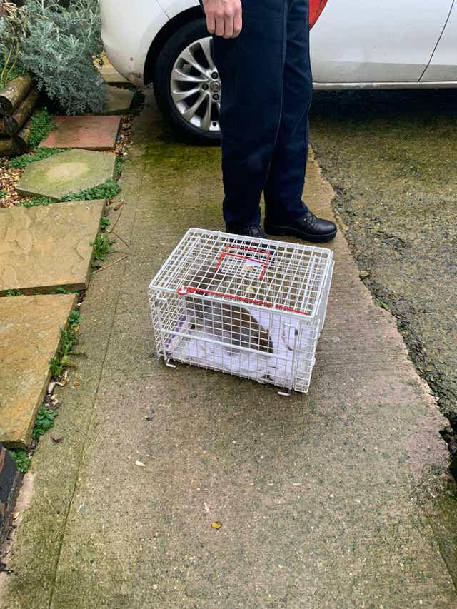 ����ŵ�Ƚ��ղ�������ֻ���󽻸�����Э�ᡣ