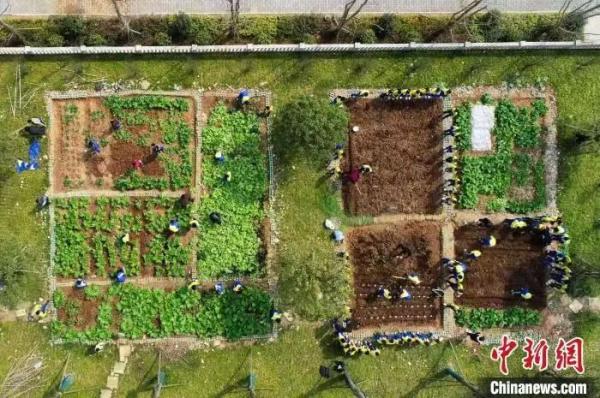 ���������һҳ