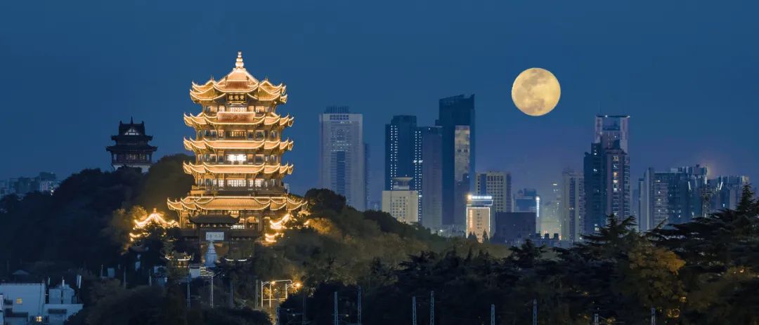 ���紨�������������������������ޡ�