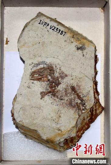 ���ŷ��ô����ޡ����ͱ걾������������� ���Է� ��