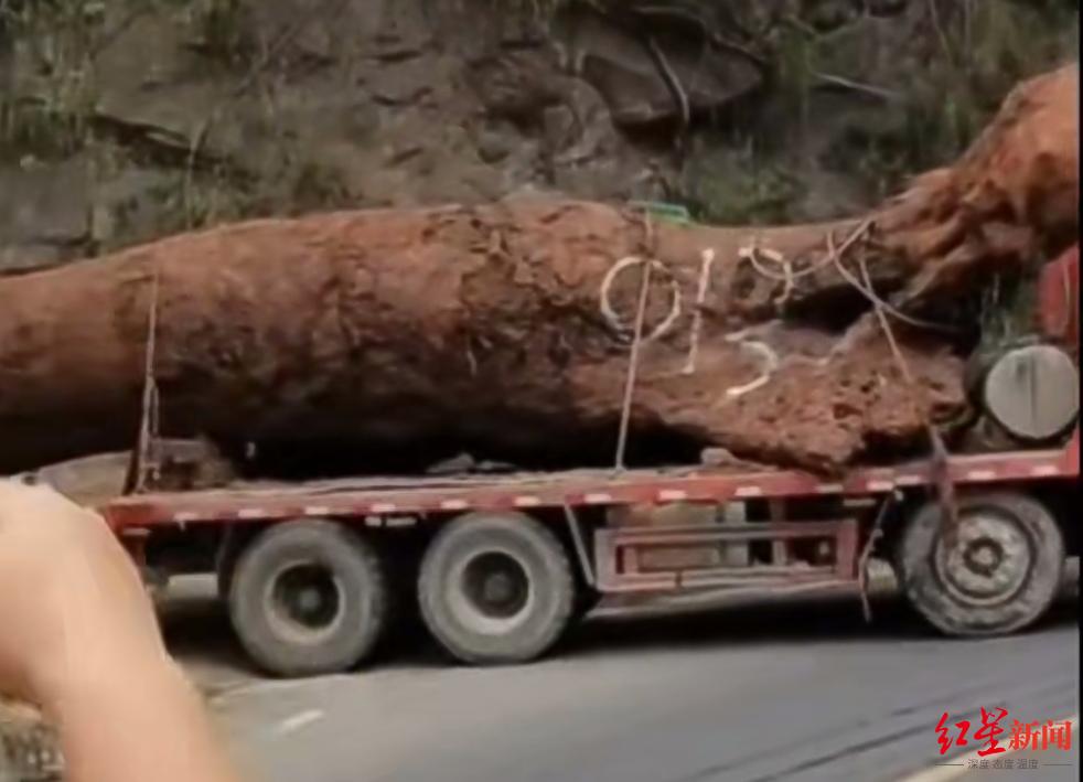 �ڳ��ľ�����ľ����Ƶ��ͼ��