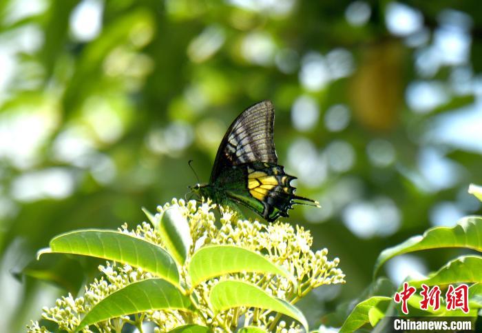 ���๷�� �㶫ʡ��ҵ�� ��ͼ