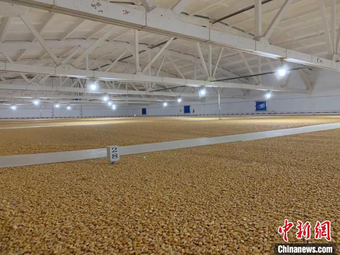 ����������ˬ����ؽ�ƣ���ǧƽ���׵���ʳ�����۵ס��������� ��