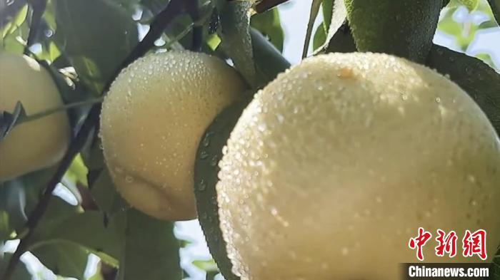 �й��ڶ������־��Ʒ���������֪����