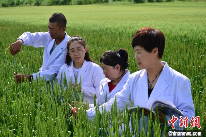 20�������ʽ���֣��������������ߵ�������