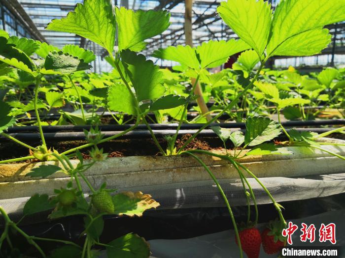 ��ʩũҵ�������½����š������������