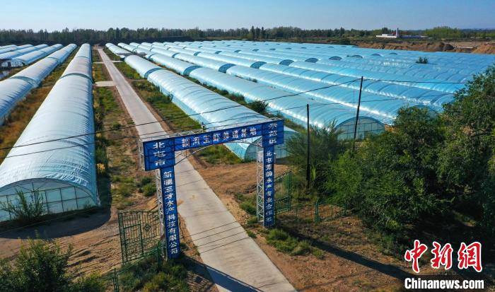 ���ĵ�ʮʦһ�����Ŷ����Ϻ��ֳ����(����ͼ)���������� ��