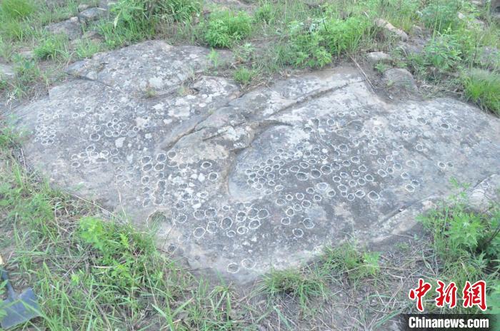 ͼΪ�����������ڷ��ֵ��һ���(����ͼ) ���������￼���о��� ��