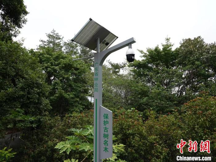 ����ͷ�Թ�����ľʵʱ��Ƶ��� �㶫ʡ��ҵ�� ��ͼ