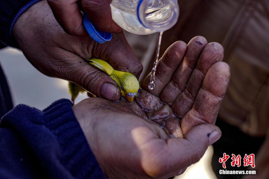 �а�һĻ�����������ڸ������оȳ���С��ιˮ